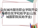 山东城市服务职业学院开设有哪些奖学和助学金(山东城服职院奖助学金)