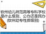 钦州幼儿师范高等专科学校是什么级别，公办还是民办(钦州幼专性质级别)