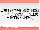 山东工商学院什么专业最好，一年招多少人(山东工商学院王牌专业招生)