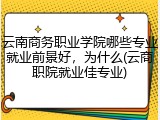 云南商务职业学院哪些专业就业前景好，为什么(云商职院就业佳专业)