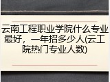 云南工程职业学院什么专业最好，一年招多少人(云工院热门专业人数)