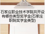 石家庄职业技术学院共开设有哪些类型奖学金(石家庄职院奖学金类型)