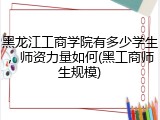 黑龙江工商学院有多少学生，师资力量如何(黑工商师生规模)