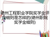 德州工程职业学院奖学金评定细则是怎样的(德州职院奖学金细则)