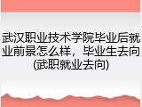 武汉职业技术学院毕业后就业前景怎么样，毕业生去向(武职就业去向)