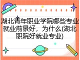 湖北青年职业学院哪些专业就业前景好，为什么(湖北职院好就业专业)