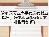 哈尔滨商业大学有没有就业指导，好就业吗(哈商大就业指导如何)