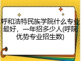 呼和浩特民族学院什么专业最好，一年招多少人(呼院优势专业招生数)