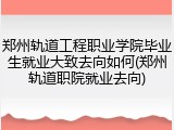 郑州轨道工程职业学院毕业生就业大致去向如何(郑州轨道职院就业去向)