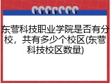 东营科技职业学院是否有分校，共有多少个校区(东营科技校区数量)