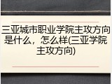 三亚城市职业学院主攻方向是什么，怎么样(三亚学院主攻方向)