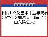 平顶山文化艺术职业学院有出过什么知名人士吗(平顶山艺院名人)