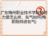 广东梅州职业技术学院师资力量怎么样，名气如何(梅职院师资名气)