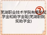 芜湖职业技术学院有哪些奖学金和助学金呢(芜湖职院奖助学金)