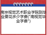 南京视觉艺术职业学院到毕业要花多少学费("南视觉毕业学费")