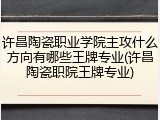 许昌陶瓷职业学院主攻什么方向有哪些王牌专业(许昌陶瓷职院王牌专业)