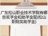 广东松山职业技术学院有哪些奖学金和助学金呢(松山职院奖助学金)