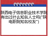 陕西电子信息职业技术学院有出过什么知名人士吗("陕电职院知名校友")