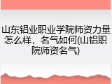 山东铝业职业学院师资力量怎么样，名气如何(山铝职院师资名气)