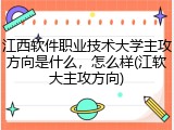 江西软件职业技术大学主攻方向是什么，怎么样(江软大主攻方向)