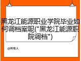 黑龙江能源职业学院毕业如何调档案呢("黑龙江能源职院调档")