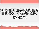 湖北财税职业学院最好的专业是哪个，详细阐述(财税专业最佳)