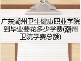 广东潮州卫生健康职业学院到毕业要花多少学费(潮州卫院学费总额)