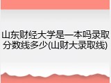 山东财经大学是一本吗录取分数线多少(山财大录取线)
