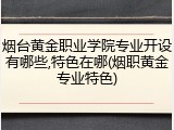 烟台黄金职业学院专业开设有哪些,特色在哪(烟职黄金专业特色)
