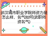 武汉城市职业学院师资力量怎么样，名气如何(武职师资名气)