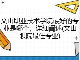 文山职业技术学院最好的专业是哪个，详细阐述(文山职院最佳专业)