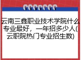 云南三鑫职业技术学院什么专业最好，一年招多少人(云职院热门专业招生数)