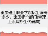 重庆理工职业学院招生编码多少，隶属哪个部门(重理工职院招生代码属)
