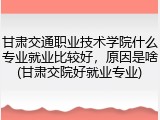 甘肃交通职业技术学院什么专业就业比较好，原因是啥(甘肃交院好就业专业)