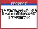 烟台黄金职业学院读什么专业比较有前景(烟台黄金职业学院前景专业)