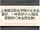 上海震旦职业学院什么专业最好，一年招多少人(震旦职院热门专业招生数)