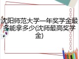 沈阳师范大学一年奖学金最多能拿多少(沈师最高奖学金)
