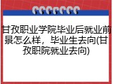 甘孜职业学院毕业后就业前景怎么样，毕业生去向(甘孜职院就业去向)