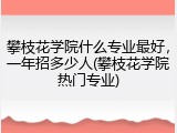 攀枝花学院什么专业最好，一年招多少人(攀枝花学院热门专业)