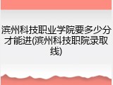 滨州科技职业学院要多少分才能进(滨州科技职院录取线)
