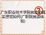 广东职业技术学院就读的真实感觉如何(广职院就读体验)