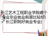长江艺术工程职业学院哪个专业毕业就业前景比较好(长江职院好就业专业)