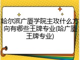 哈尔滨广厦学院主攻什么方向有哪些王牌专业(哈广厦王牌专业)