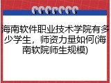 海南软件职业技术学院有多少学生，师资力量如何(海南软院师生规模)