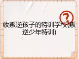 收叛逆孩子的特训学校(叛逆少年特训)