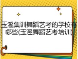 玉溪集训舞蹈艺考的学校有哪些(玉溪舞蹈艺考培训)