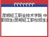 昆明轻工职业技术学院 中职招生(昆明轻工职校招生)