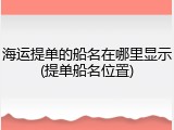 海运提单的船名在哪里显示(提单船名位置)