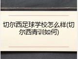 切尔西足球学校怎么样(切尔西青训如何)