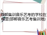 邯郸集训音乐艺考的学校在哪里(邯郸音乐艺考集训地)